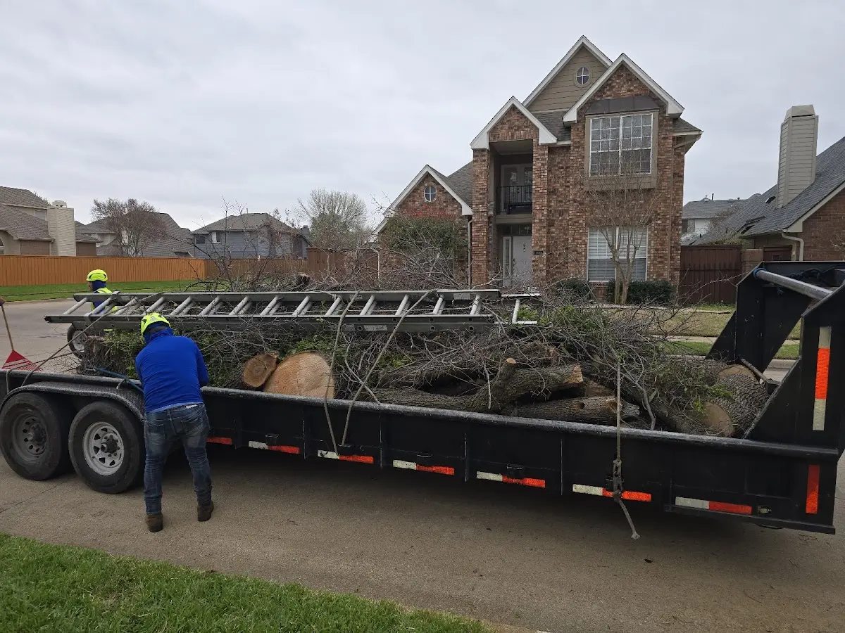 Expert Tree Pest Control with proper safety equipment in Keshena
